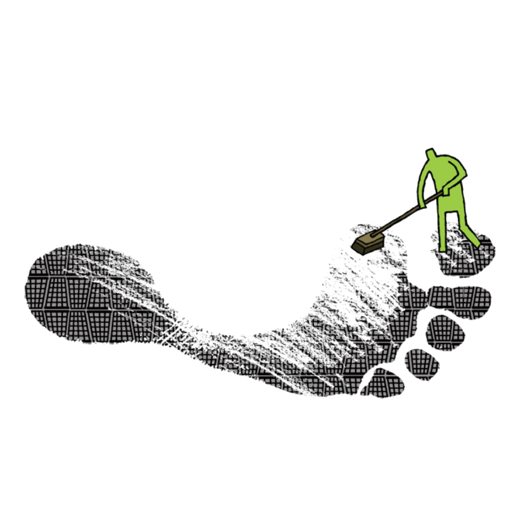 Our Carbon Credits